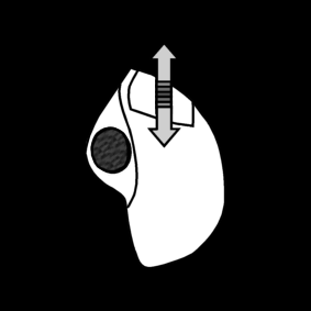 scroll / trackball: scroll